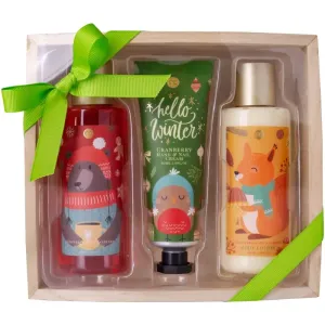 Accentra Hello Winter gift set (for all types of skin)