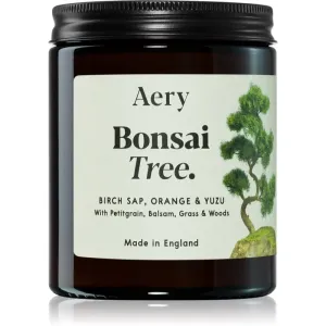 Aery Botanical Bonsai Tree scented candle 140 g