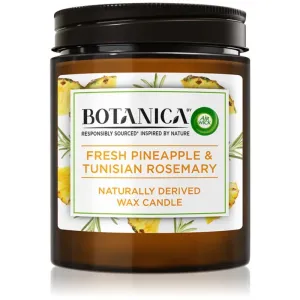 Air Wick Botanica Fresh Pineapple & Tunisian Rosemary scented candle 205 g