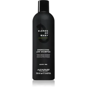 Alfaparf Milano Blends of Many Energizing energising shampoo for fine hair and hair without volume 250 ml