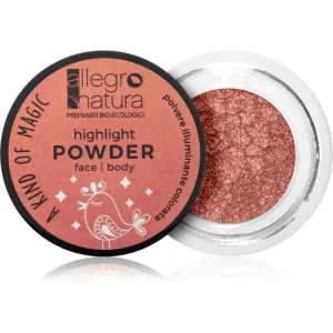 Allegro Natura A Kind of Magic Illuminating Powder for Face and Eyes 03 Pink 1,5 g