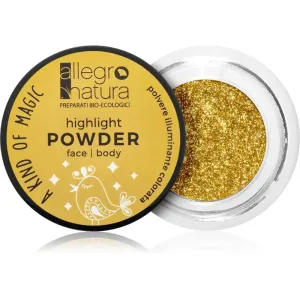 Allegro Natura A Kind of Magic Illuminating Powder for Face and Eyes Starry Gold 1,5 g