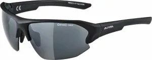 Alpina Lyron HR Black Matt/Black Sport Glasses