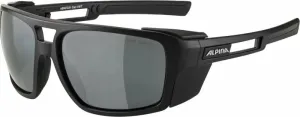 Alpina Skywalsh Black Matt/Black Outdoor Sunglasses