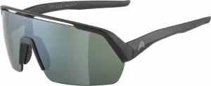 Alpina Turbo HR Q-Lite Black Matt/Silver Sport Glasses