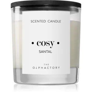 Ambientair Olphactory Black Design Santal scented candle (Cosy) 200 g #257527