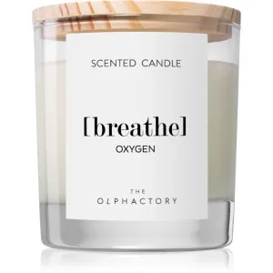 Ambientair The Olphactory Oxygen scented candle (Breathe) 200 g
