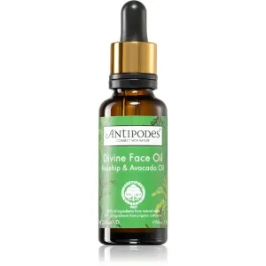 Antipodes Divine Face Oil Rosehip & Avocado Oil protective serum to treat the first signs of skin ageing 30 ml #291270
