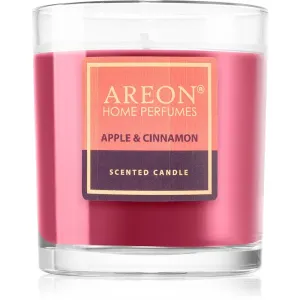 Areon Scented Candle Apple & Cinnamon scented candle 120 g
