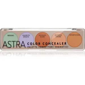 Astra Make-up Palette Color Concealer concealer palette 6,5 g #275827