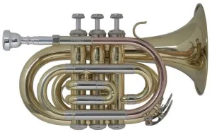 Bach PT650 Bb Bb Trumpet