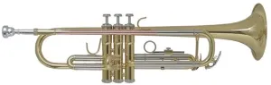 Bach TR655 Bb Bb Trumpet