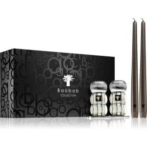 Baobab Collection Gemelli Silver gift set 1 pc