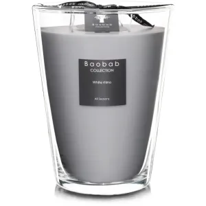 Baobab Collection All Seasons White Rhino scented candle 24 cm