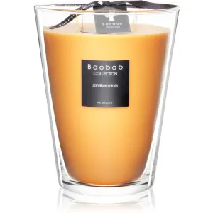 Baobab Collection All Seasons Zanzibar Spices scented candle 24 cm