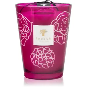 Baobab Collection Collectible Roses Burgundy scented candle 24 cm