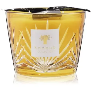 Baobab Collection Palm Palma scented candle 10 cm