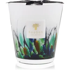 Baobab Collection Rainforest Amazonia scented candle 16 cm