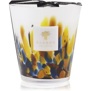 Baobab Collection Rainforest Mayumbe scented candle 16 cm