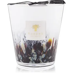 Baobab Collection Rainforest Tanjung scented candle 16 cm
