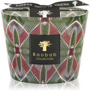 Baobab Collection Maxi Wax Malia scented candle 10 cm