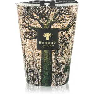 Baobab Collection Sacred Trees Kani scented candle 24 cm