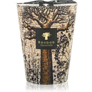 Baobab Collection Sacred Trees Morondo scented candle 24 cm