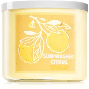 Bath & Body Works Sun-Washed Citrus scented candle 411 g #283072