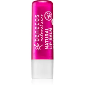 Benecos Natural Care lip balm with aroma Raspberry 4,7 g #251345