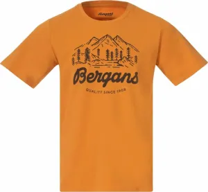 Bergans Classic V2 Tee Men Golden Field S T-Shirt