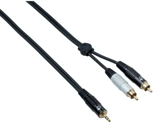 Bespeco EAYMSR150 1,5 m Audio Cable