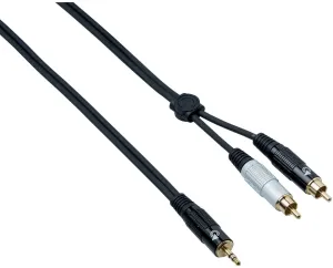 Bespeco EAYMSR500 5 m Audio Cable #5178