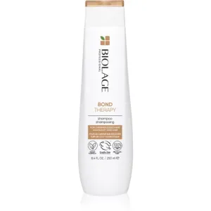 Biolage Bond Therapy strengthening shampoo for damaged hair 250 ml