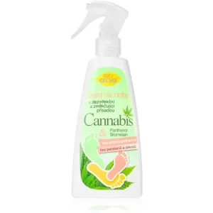 Bione Cosmetics Cannabis spray for legs 260 ml