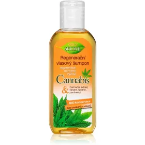 Bione Cosmetics Cannabis Regenerating Shampoo 80 ml