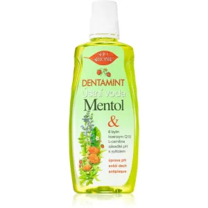 Bione Cosmetics Dentamint Menthol mouthwash 500 ml #222420
