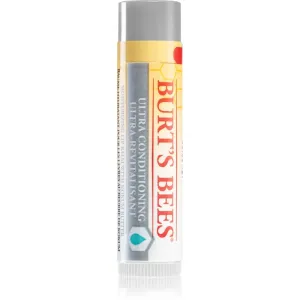 Burt’s Bees Lip Care balm for dry lips 4.25 g