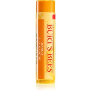 Burt’s Bees Lip Care nourishing lip balm (with Mango Butter) 4,25 g