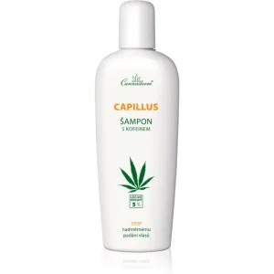 Cannaderm Capillus Caffeine shampoo shampoo with hemp oil 150 ml
