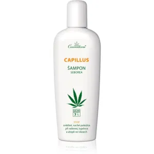 Cannaderm Capillus Seborea Shampoo herbal shampoo for irritated scalp 150 ml