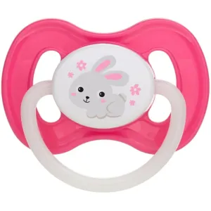 Canpol babies Bunny & Company 6-18m dummy Pink 1 pc