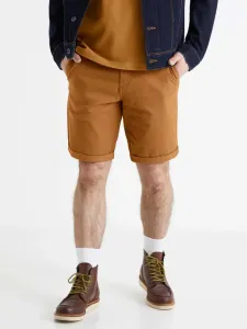 Celio Bochinobm Short pants Brown #193776