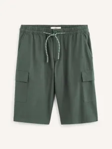 Celio Rolver2bm Short pants Green