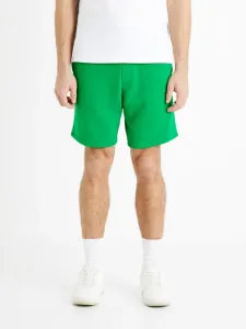 Celio Toshort Short pants Green