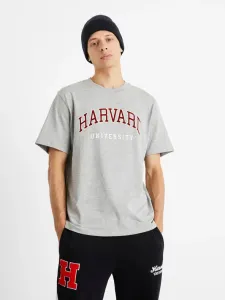 Celio Harvard University T-shirt Grey