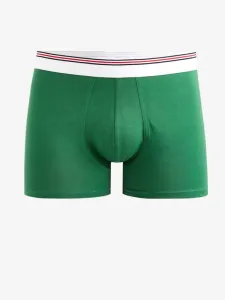 Celio Mike Boxer shorts Green
