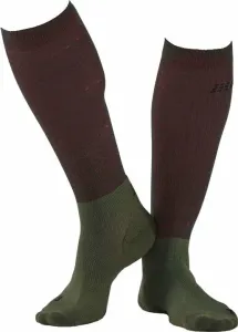 CEP WP30T Recovery Tall Socks Men Forest Night IV Running socks