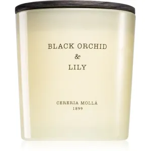 Cereria Mollá Boutique Black Orchid & Lily scented candle 600 ml