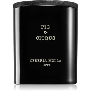 Cereria Mollá Boutique Fig & Citrus scented candle 230 g