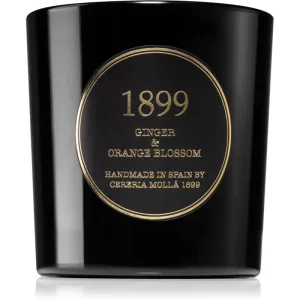 Cereria Mollá Gold Edition Ginger & Orange Blossom scented candle 600 g